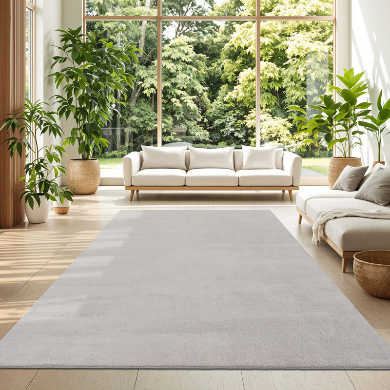 Tapis doux, doux, à poils courts, antidérapant, de couleur unie, lavable, Rectangle 4 pi 7 po x 6 pi 7 po, Argent argent