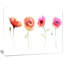 «Watercolor Poppy Flowers S Croquis», impression sur toile tendue-19240329