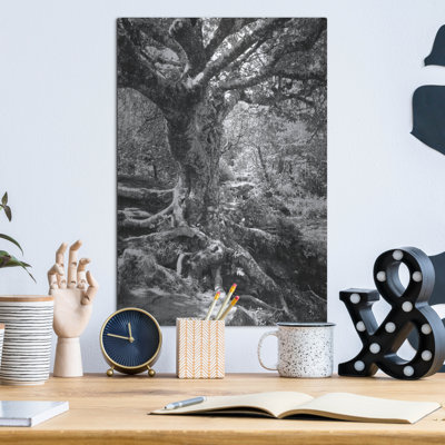  «Old Tree» par Lori Deiter, art mural en métal, 12 po x 16 po