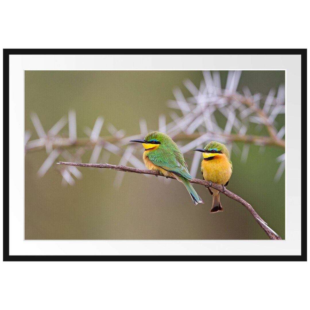 Gerahmtes Papierbild - Fotografie „Birds on a Branch”