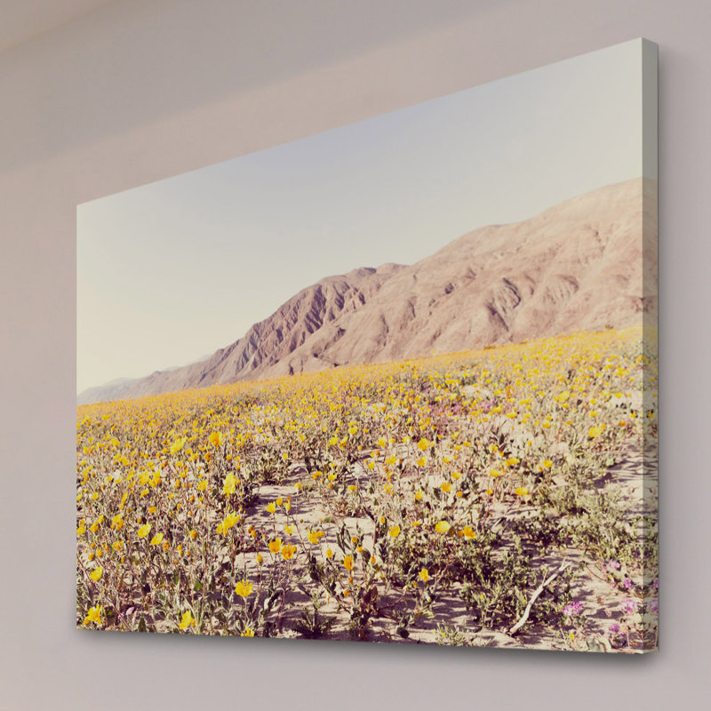 Morgan J Hartley - Wrapped Canvas Print, 61cm H x 91cm W x 3.81cm D