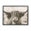 Photographie d'une vache Highland