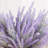 Kassaraba Lavender Arrangement-1198063915