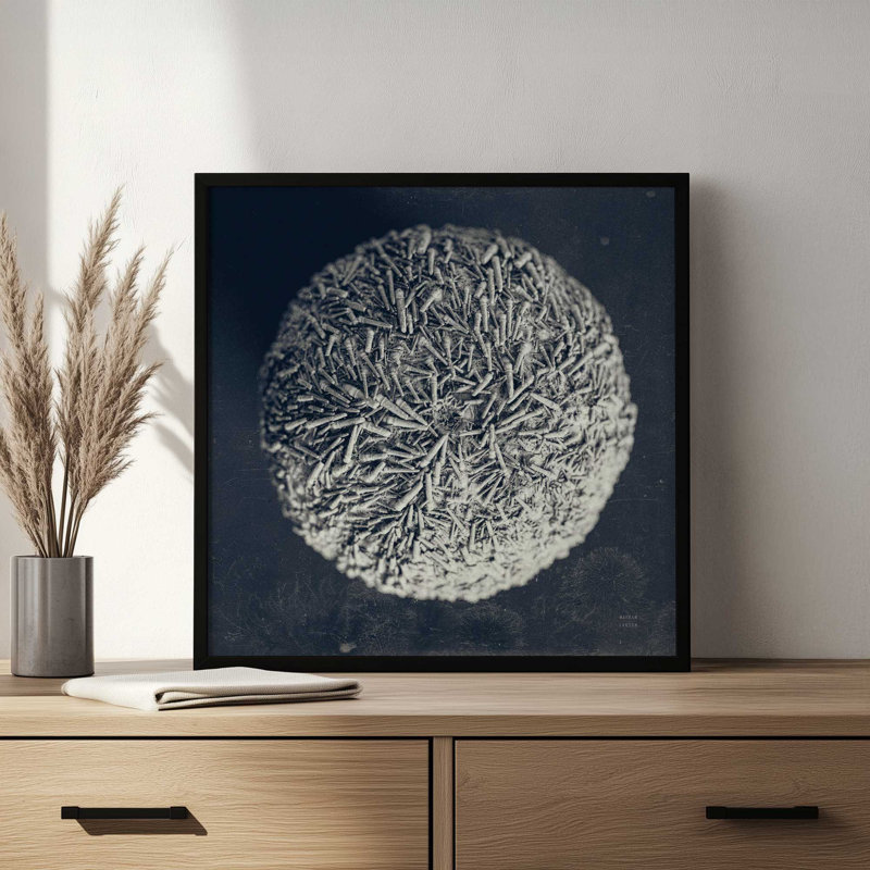 «Urchin Still Life IV» par Nathan Larson, reproduction d'art, H 12 po x l 12 po, Doré