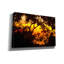 «Deep Forest Sunset» par Mark Ashkenazi, art mural sur toile-365931750
