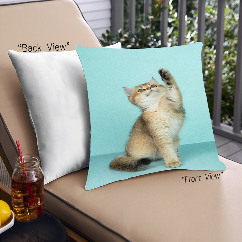 Throw Pillow, Microsuede