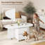 Coffee Table-2129623029