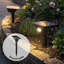 Solar Powered Integrated LED Pathway Light
