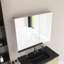 Rectangular Medicine Cabinet With Mirror-1963129734