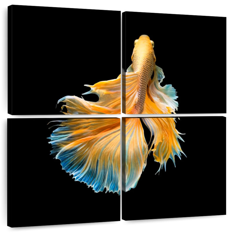 Brampt Yellow Fighter Fish Grandiose