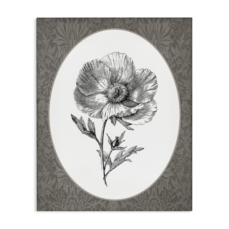 Art mural sur toile Anemone Sprig Vignette, H 48 po x l 36 po