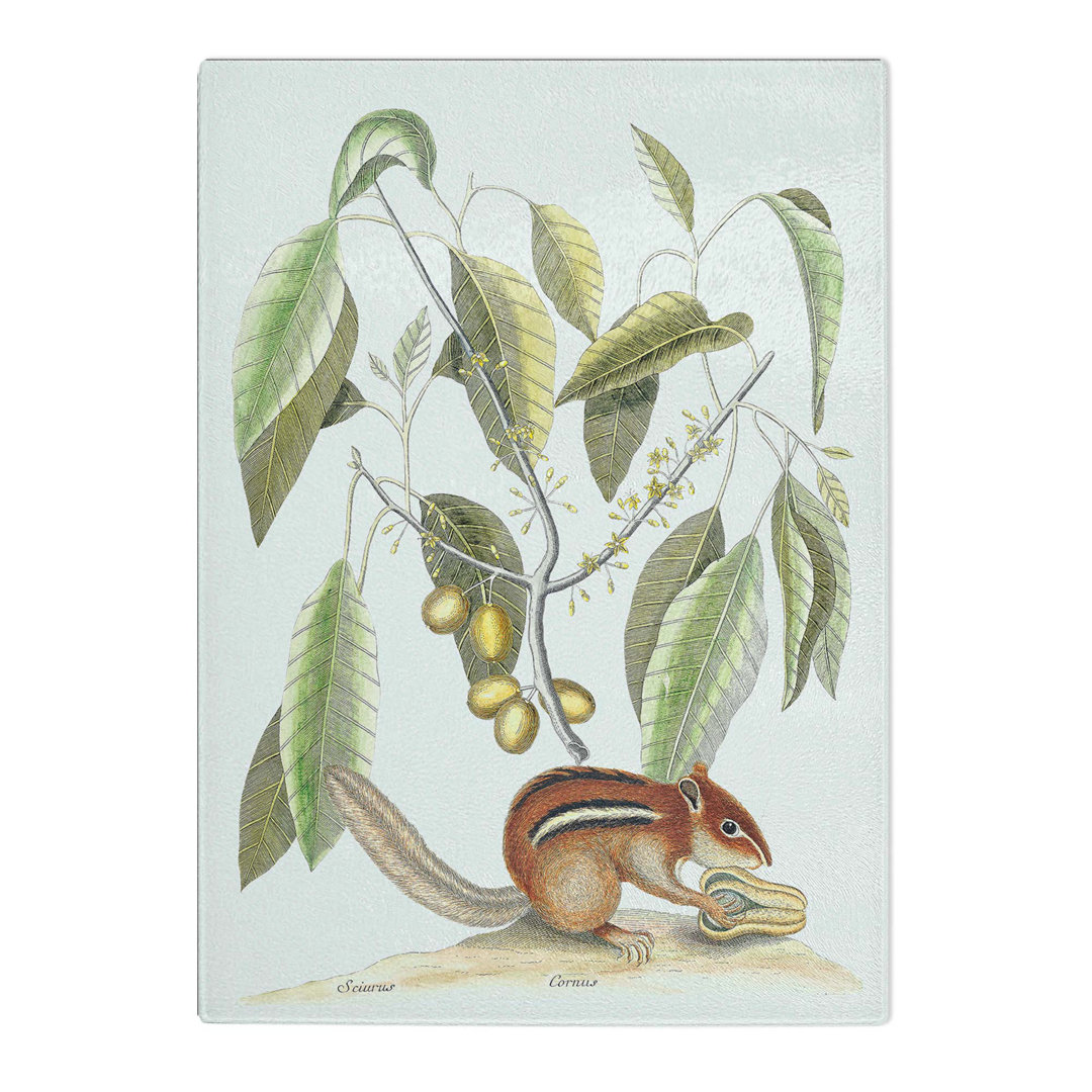 Tempered Glass Ground Squirrel by Mark Catesby Chopping Board