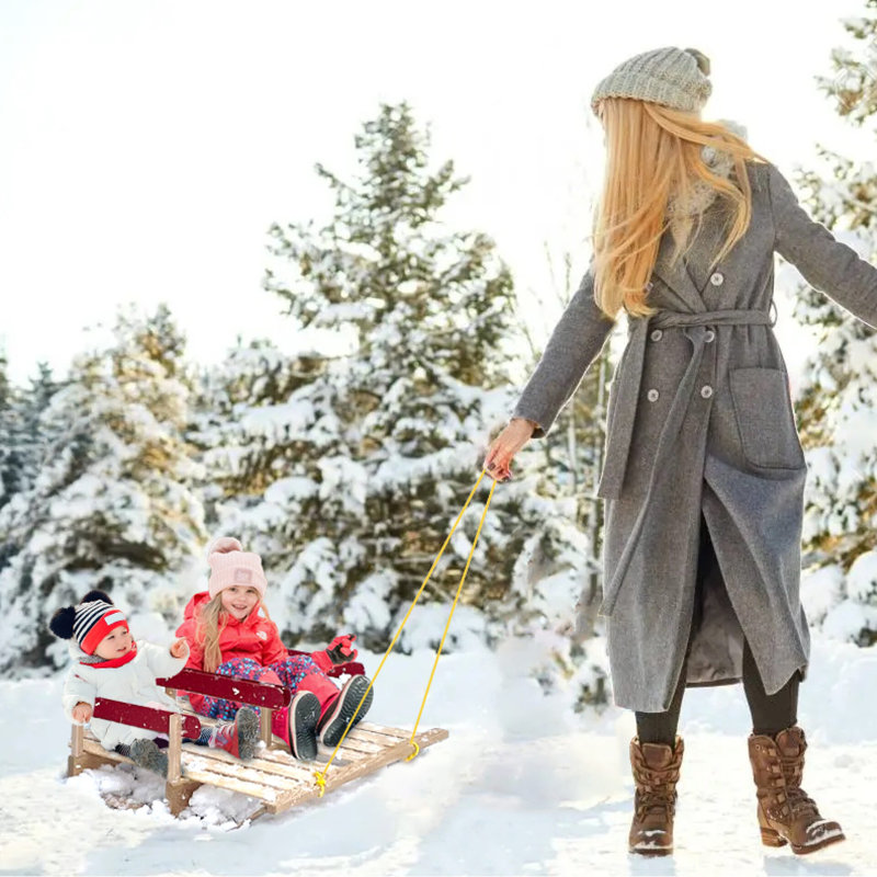 Exceptional Concepts 2 Seater Sled Push/Pull Ride On - Wayfair Canada
