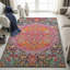 Oriental Area Rug-1685197047