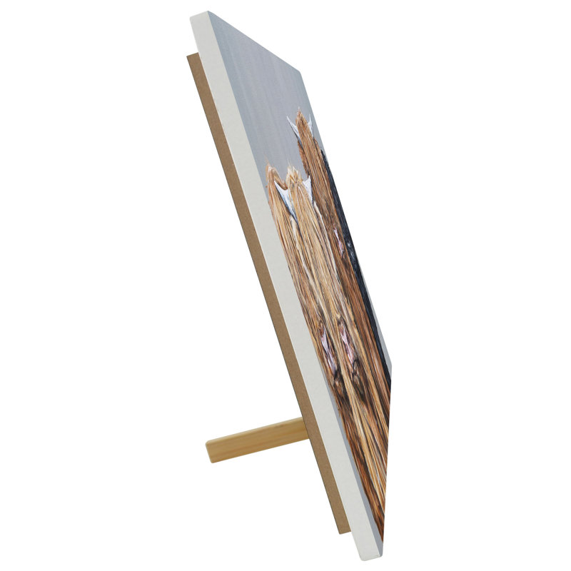 SAM FENNER Traditional Wall Decor on Ceramic