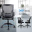 Natonia Mesh Task Chair-132673417