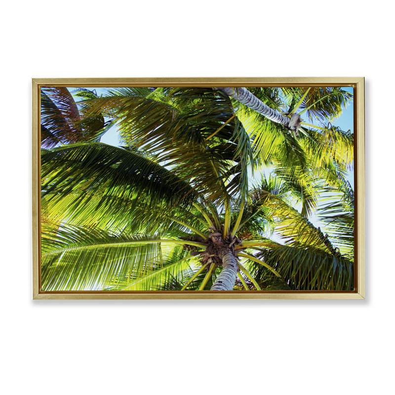 Toile flottante encadrée «Swaying Palm Leaves» par Emily Navas, Cadre flottant métallique doré, H 17 po x l 25 po