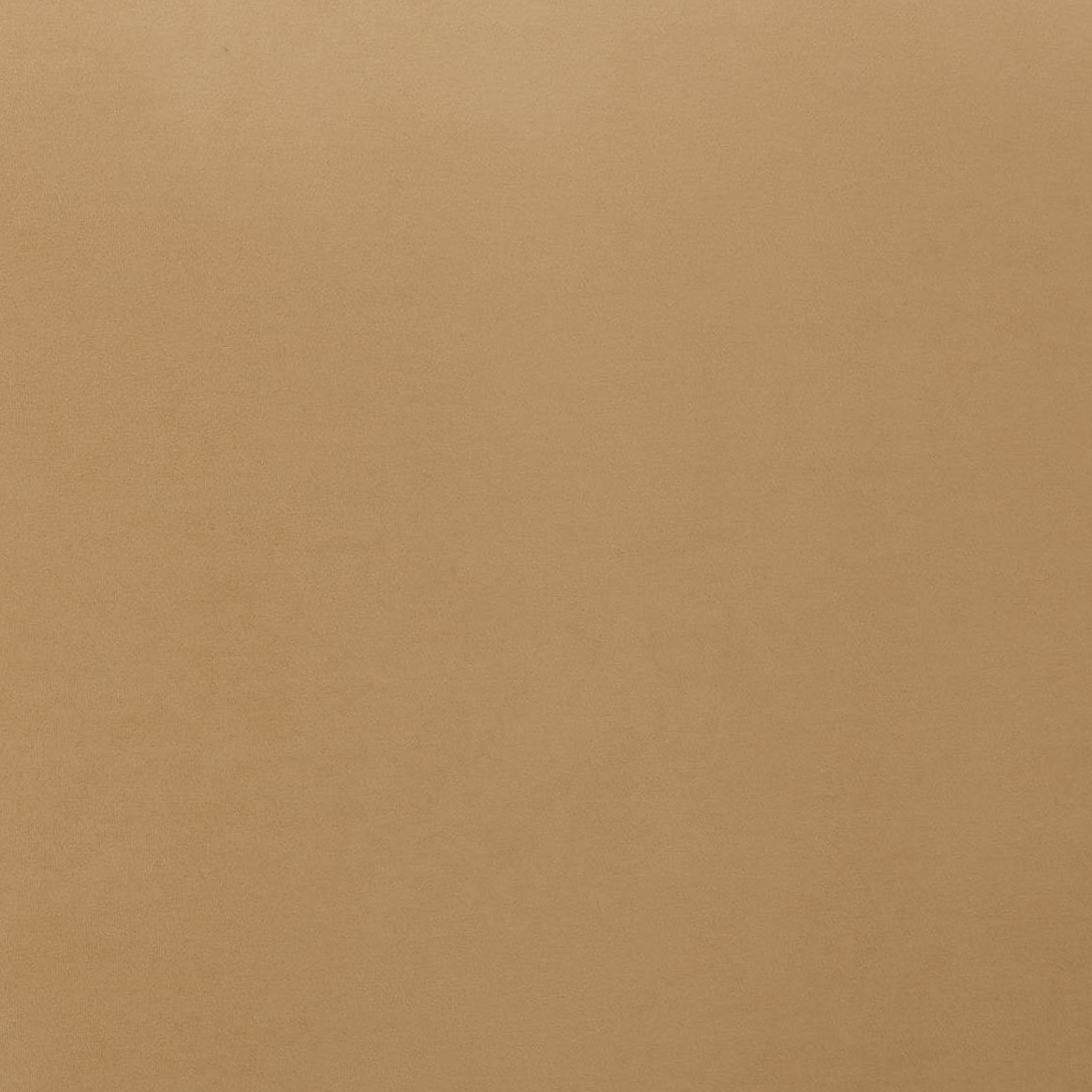 Liza Velvet Upholstered Bed, Queen, Light Brown Velvet