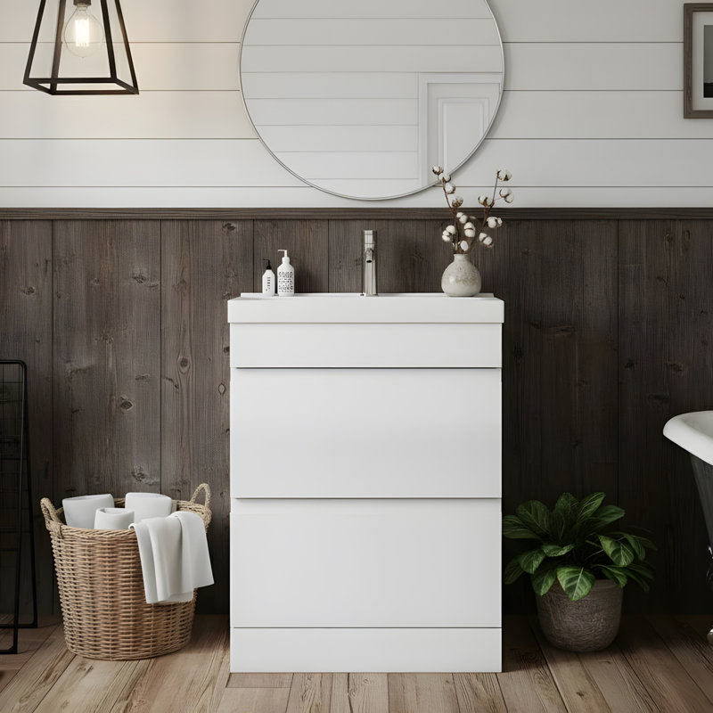 24-inch Bathroom Vanity with Sink Assembly, 2-Drawer Bathroom Cabinet