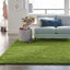 Tapis vert Renesha-1948829517