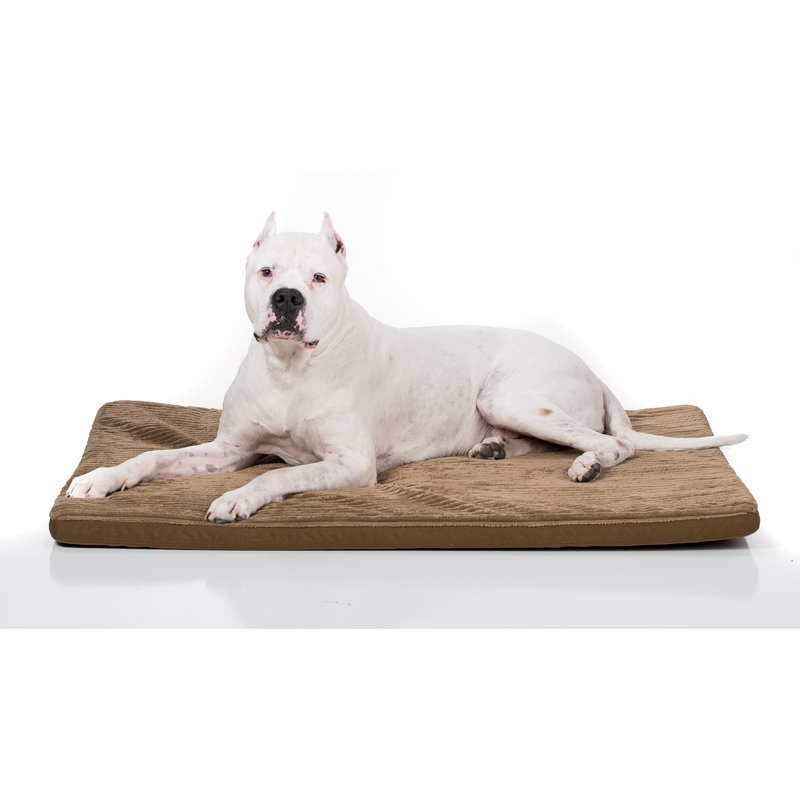 Coussin de coyote caisse Shearin, Coyote, Très très grand (l 36 po x P 54 po x H 2,5 po)