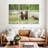 Brown Bear Cubs-107982899
