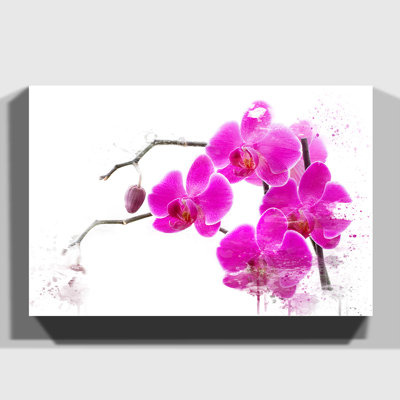 Flower Pink Orchid - Wall Art