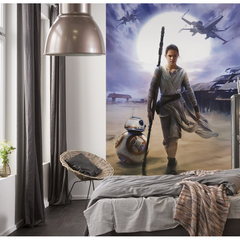 Carolyn Star Wars Rey Wall Mural