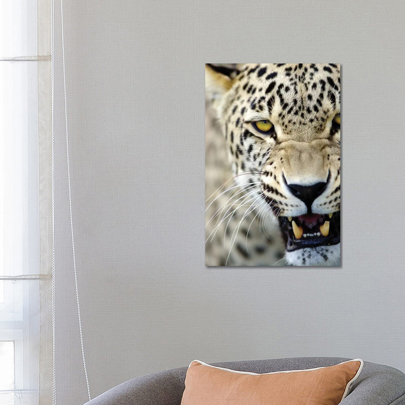 Leopard XV by Goran Anastasovski - Wrapped Canvas Print, 66.04 cm H x 45.72 cm W x 1.91 cm D