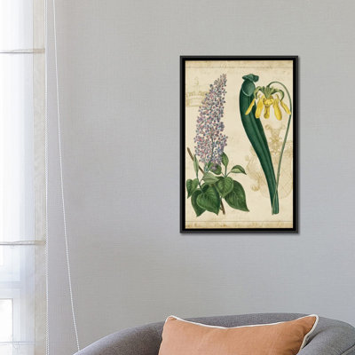 « botanique répertoire iv », reproduction d’impression sur toile tendue