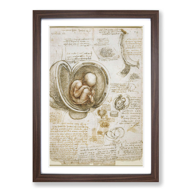 Leonardo Da Vinci - Single Picture Frame Print, Walnut