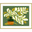 «Hawaiian Ginger Blossoms» par Kristian Gallagher, reproduction d'art encadrée sur bois-1669633778