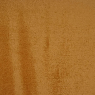 Plush Fabric