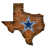 Cowboys de Dallas