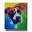 «Boxer - Leo» par Dawg Painter-1347779809