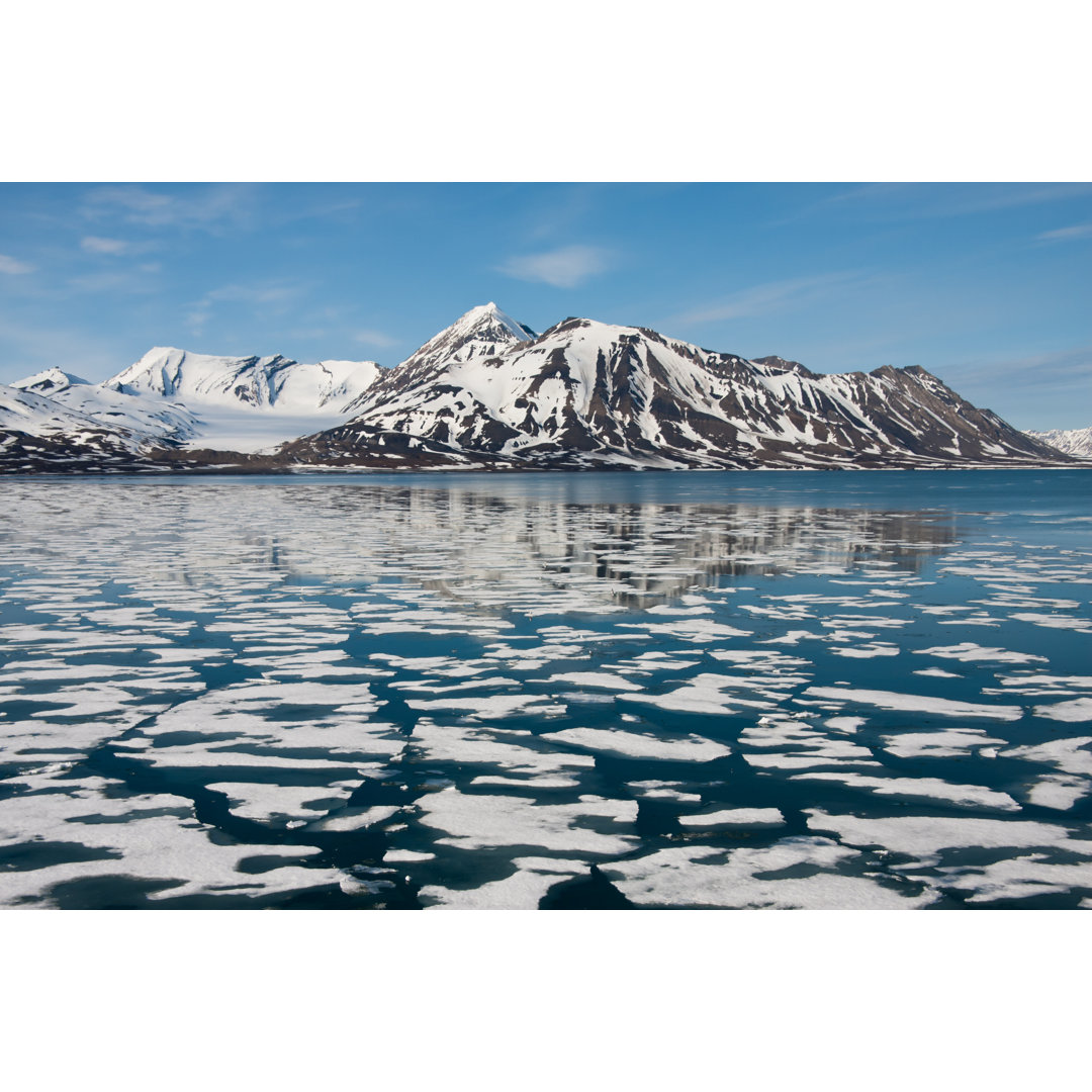 Svalbard in der Arktis - Leinwandbild