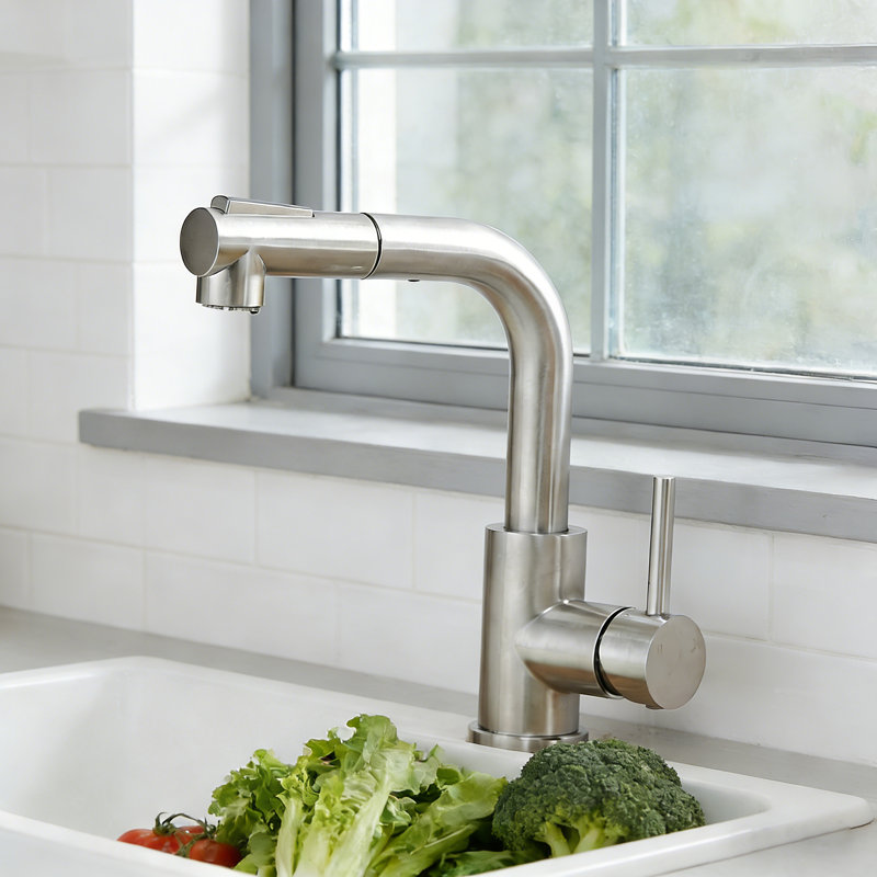 Robinet d'évier de bar moderne, évier de cuisine à poignée simple avec douchette extractible, Nickel