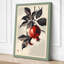 Pomegranate Branch Japandi - Wrapped Canvas-510215224-510215225