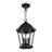 3 - Light Outdoor Pendant