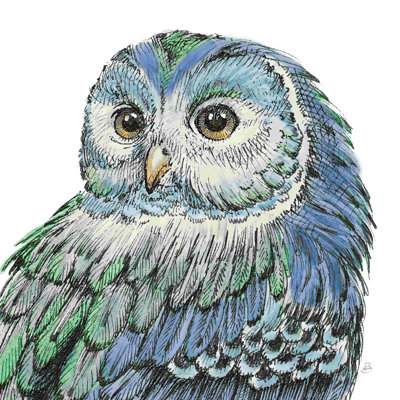 Beautiful Owls I Peacock