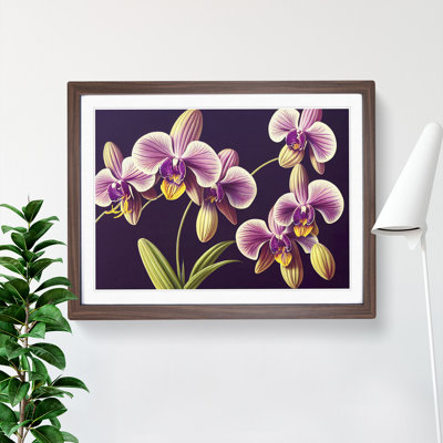 Captivating Orchid Flowers - Framed Print