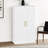 Multi-Functional Storage Cabinet with Adjustable Shelf