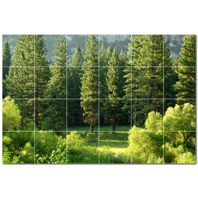 Trees Photo 6'' x 6'' Satin Ceramic Decorative Mural