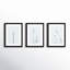 Retro Tennessee Botanical Prints by Adela - 3 Piece Single Picture Frame Photograph Set-793282261-793282264