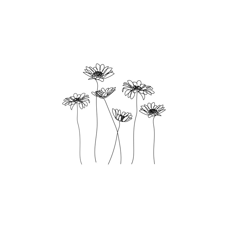 Fleurs de camomille Kendrel. Un dessin au trait. «Minimalist Line Art On Canvas» par Sumeja Cerkezi, reproduction d'art