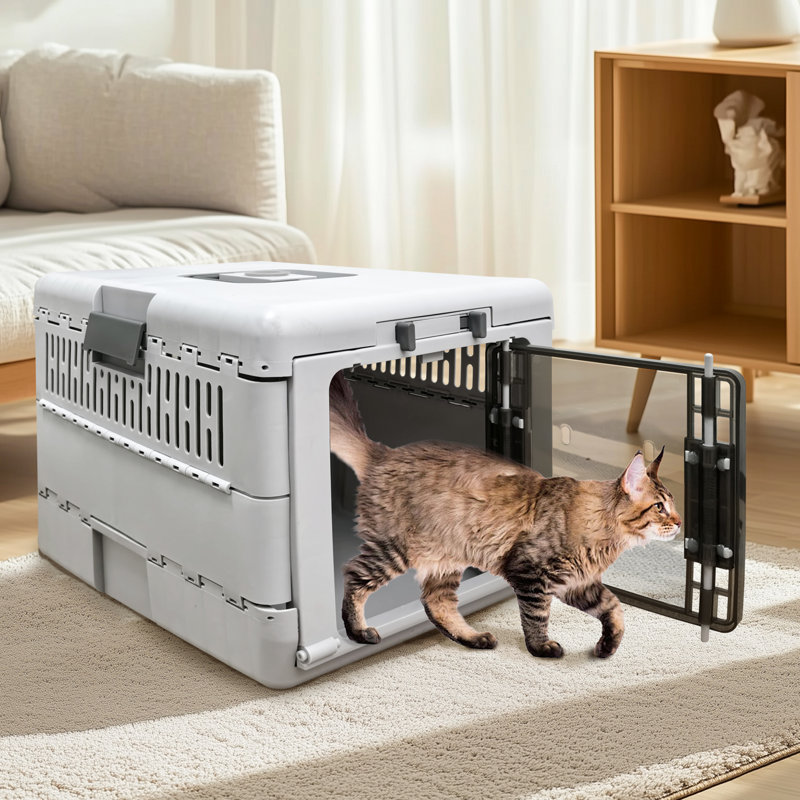 Pet Carrier Plastic Collapsible and Foldable Pet Carrier