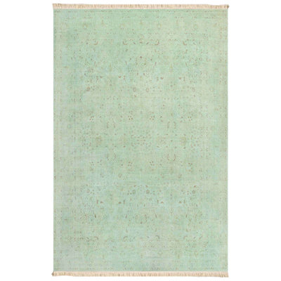 Faded Mint Patina Area Rug