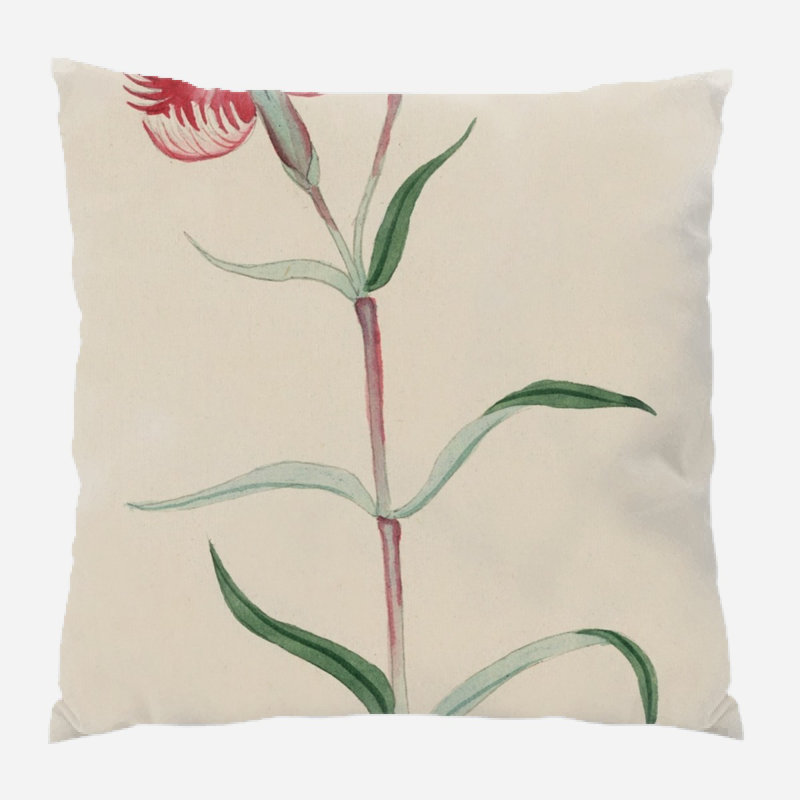 Housse et insert de coussin Apodaca, Intérieur, Microsuède