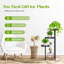 Plant Stand