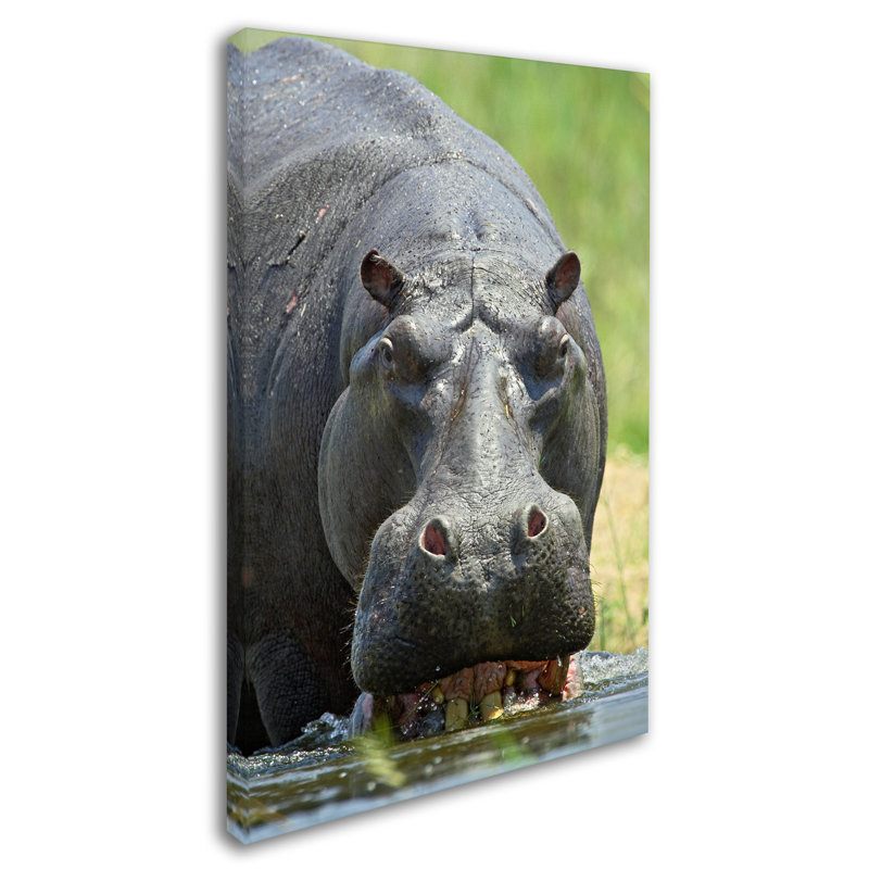 Ann «Hippo», reproduction de photo sur toile tendue, H 32 po x l 22 po